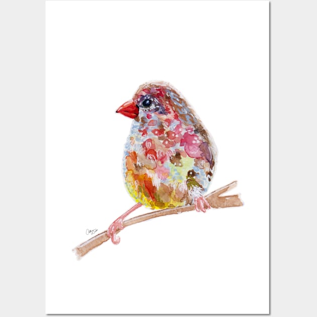 Red Munia Watercolor Wall Art by SweetBabushka